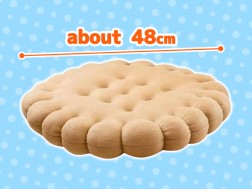 Biscuit Shaped Circle Cushion