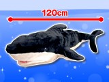 Shark Super BIG Plushy 120 cm Black