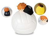 Haikyuu!! - Sleeping Room Light - Shoyo Hinata
