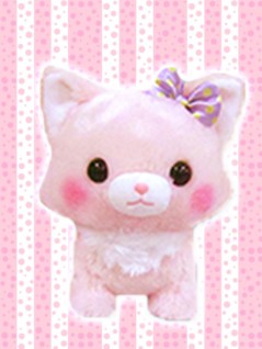 toreba cat