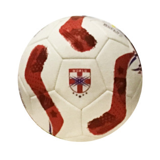 ワールドサッカーボール７　Ｅ