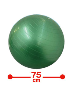 バランスボール　箱入　Ｂ