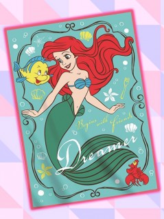 ディズニープリンセスアリエル ラプンツェルフランネルbig毛布 を投入いたしました オンラインクレーンゲーム トレバ