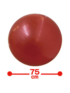 バランスボール　箱入　Ｃ