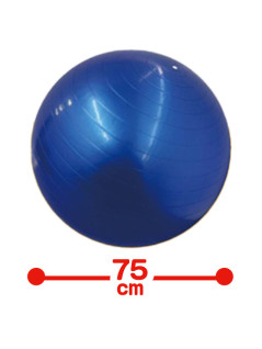 バランスボール　箱入　Ｄ