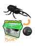 赤外線コントロール　カブトクワガタ２　Ａ