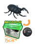 赤外線コントロール　カブトクワガタ２　Ｃ
