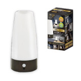 Motion Sensor Light Miora