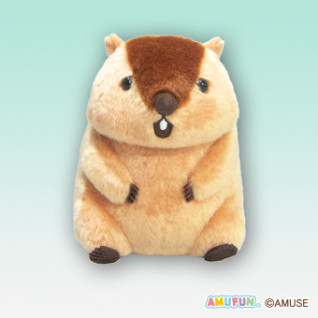 マーモットのもっとっとマモ座りＳＴ　Ｃ