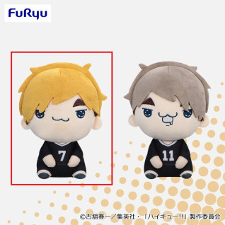 ハイキュー！！　もちぴこぬいぐるみ⑨　Ａ