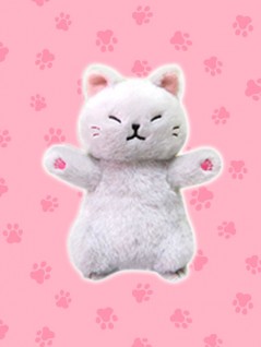toreba cat