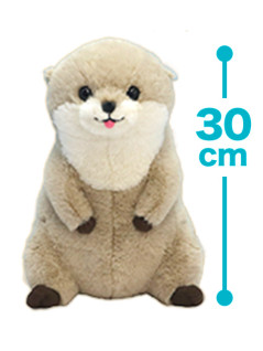 くったりカワウソおすわりＪＢ　Ｂ