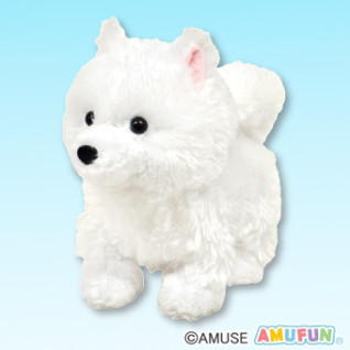 休闲萨摩耶犬 感应Gimmick