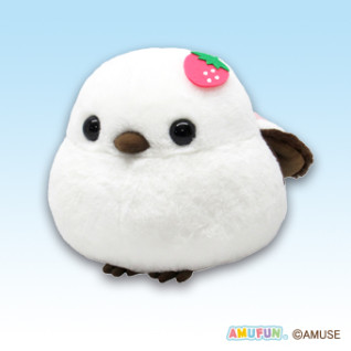 ふくふくシマちゃんカラフルフルーツＪＢ　Ｂ