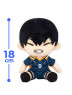 Haikyuu!! - Original Plushy vol.5 B