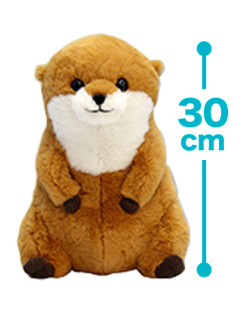 くったりカワウソおすわりＪＢ　Ｃ