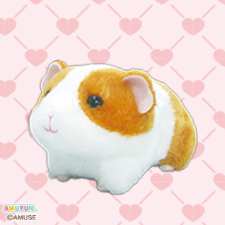 モルきゅんＬＭＣ　Ａ