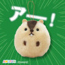 マーモットのもっとっとでかぽん　Ｂ