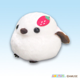 ふくふくシマちゃんカラフルフルーツＳＴ　Ｂ