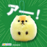マーモットのもっとっとでかぽん　Ｄ