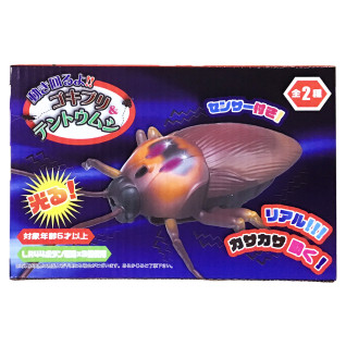 動き回るよ！ゴキブリ＆テントウムシ　Ａ