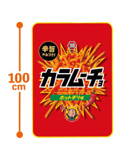 湖池屋フランネルブランケット　