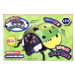 動き回るよ！ゴキブリ＆テントウムシ　Ｂ