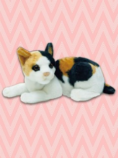 toreba cat