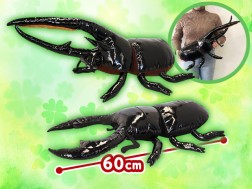 カブトｖｓクワガタｂｉｇぬいぐるみ超リアル オンラインクレーンゲーム トレバ
