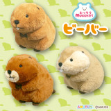 むっちりビーバーたっちＪＢ