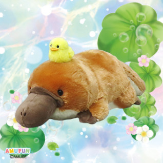 はしっこかものはしおさんぽＪＢ　Ａ