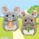 チンチラのララちゃんもぐもぐＪＢ