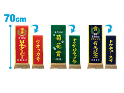 サラブレッドコレクション優勝レイバスタオル４