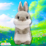 うさちっちなかよしウルトラＢＩＧ　Ａ