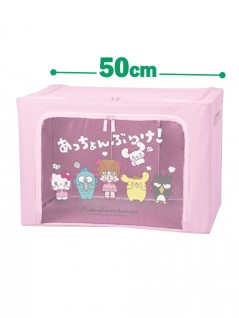 Pinoko x Sanrio Characters - Storage Box with Window