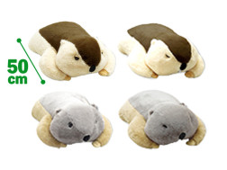 Ｄｒ．マーモットまもちおもプクのぺたーん＆マモ相撲ＸＬ