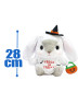 ぽてうさろっぴーハイクオリティハロウィンＪＢ　Ｂ