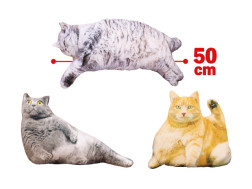 リアルでぶ猫クッション２