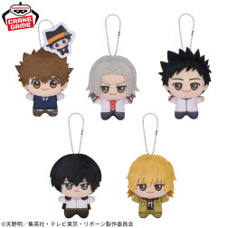 家庭教師ヒットマンＲＥＢＯＲＮ！　ちびぐるみｖｏｌ．１