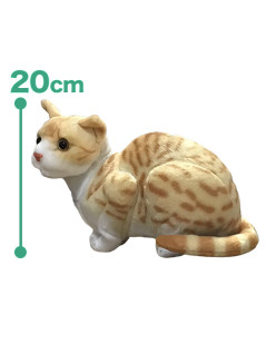 なんだニャ？猫ちゃんぬいぐるみ　Ａ