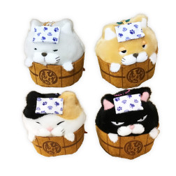 ひげまんじゅう温泉ＬＭＣ