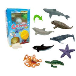 カプセルトイ海の生物