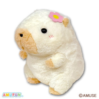 しあわせハピバラちゃんはっぴーＪＢ　Ｂ