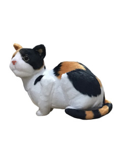 なんだニャ？猫ちゃんぬいぐるみ　Ｃ