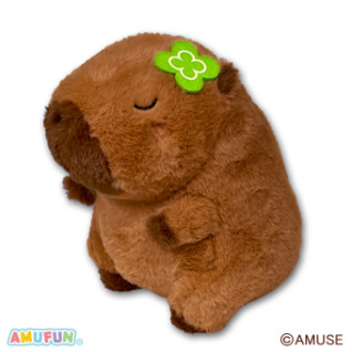 しあわせハピバラちゃんはっぴーＪＢ　Ｃ