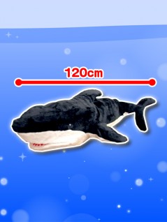 Shark Super BIG Plushy 120 cm Black