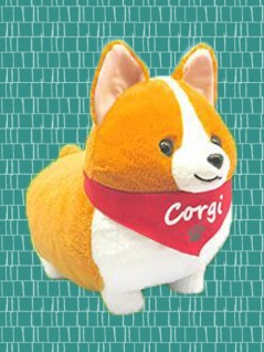 ichini corgi