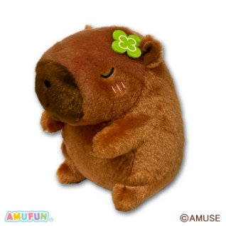 しあわせハピバラちゃんはっぴーＳＴ　Ｃ