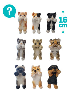 たっちぃＺｏｏにゃんこ・わんこ・ガオーｍｉｎｉ　※全９種のうち１個ランダム配送