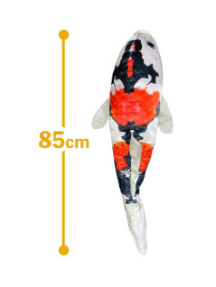 讓世界著迷的日本錦鯉玩偶 A